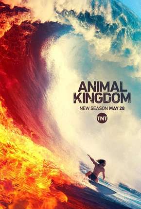 Série Animal Kingdom - 4ª Temporada Legendada 2019