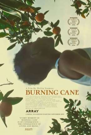 Filme Burning Cane - Legendado 2019