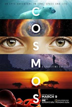 Série Cosmos - Uma Odisseia No Espaço-Tempo - 1ª Temporada 2014