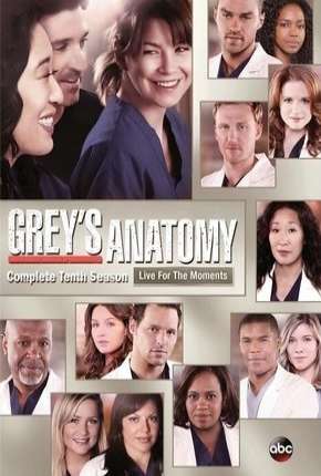 Série Greys Anatomy - 10ª Temporada - Completa 2013