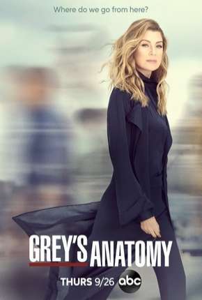 Série Greys Anatomy - A Anatomia de Grey 16ª Temporada Legendada 2019