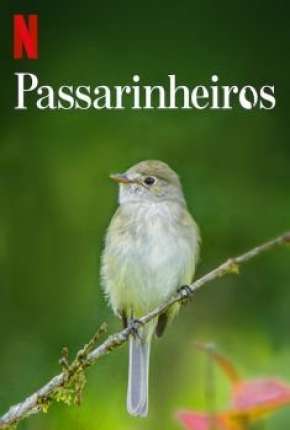 Filme Passarinheiros - Birders 2020