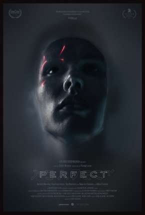 Filme Perfect - Legendado 2020
