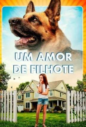 Filme Um Amor de Filhote 2020