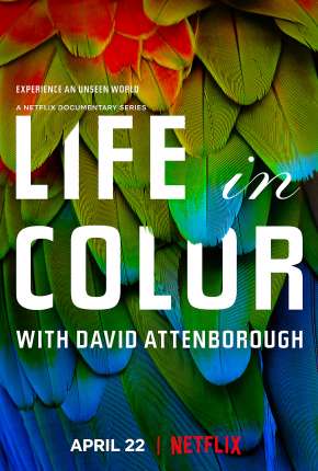 Série A Vida em Cores com David Attenborough - 1ª Temporada Completa 2021