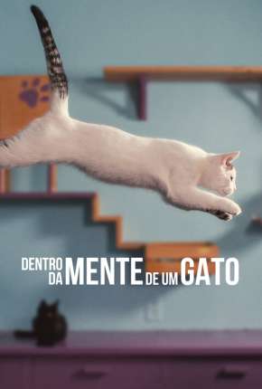 Filme Dentro da Mente de um Gato - Legendado 2022