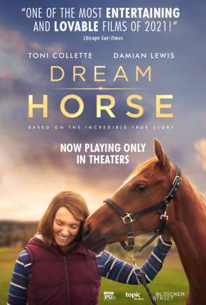 Filme O Cavalo dos Meus Sonhos 2022