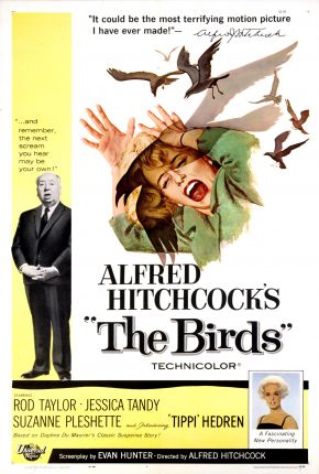 Filme Os Pássaros / The Birds 1963